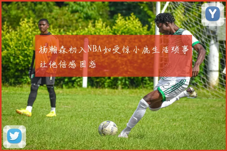 杨瀚森初入NBA如受惊小鹿生活琐事让他倍感困惑