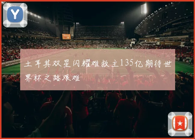 土耳其双星闪耀难救主135亿期待世界杯之路艰难
