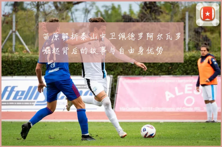 苗原解析泰山中卫佩德罗阿尔瓦罗崛起背后的故事与自由身优势