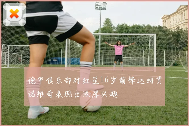 德甲俱乐部对红星16岁前锋达姆贾诺维奇表现出浓厚兴趣